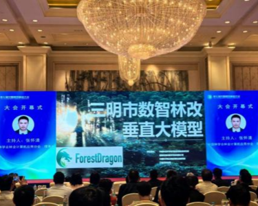 “AI+林改”：全国首个数智林改垂直大模型亮相中国智慧林业大会