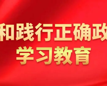 习近平关于树立和践行正确政绩观论述摘编（四）